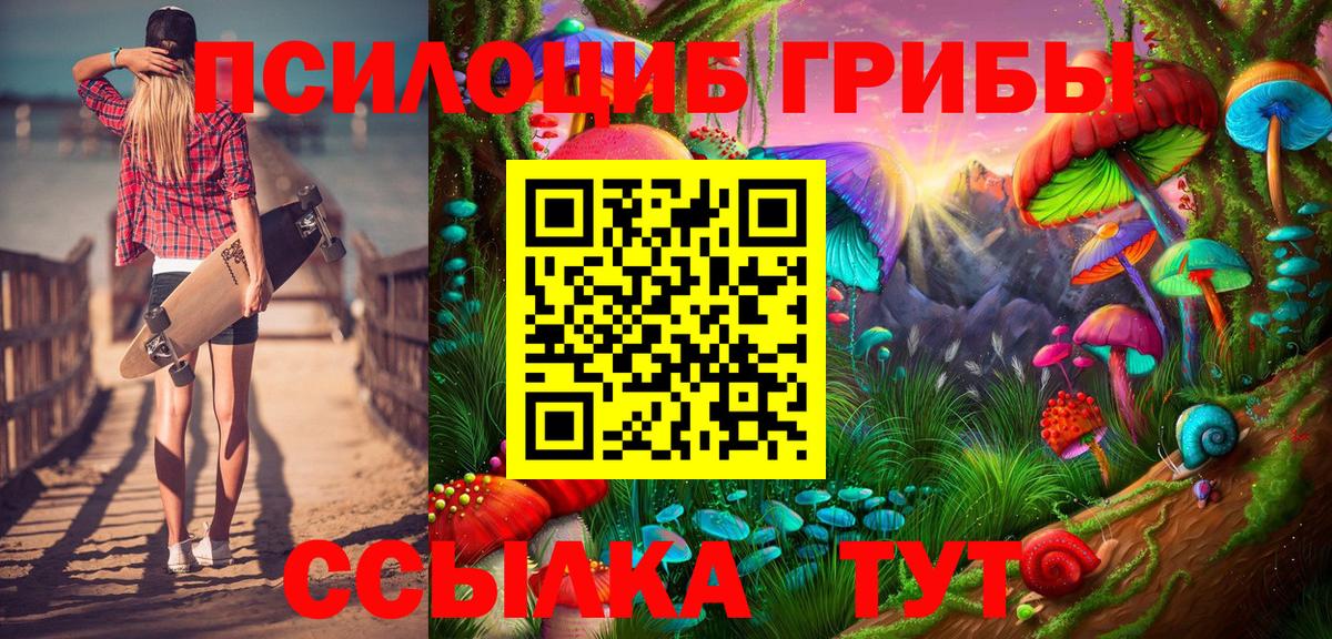 Богданович  Галлюциногенные грибы MAGIC MUSHROOMS  Вход с VPN  как найти закладки  Псилоцибиновые грибы прущие грибы 