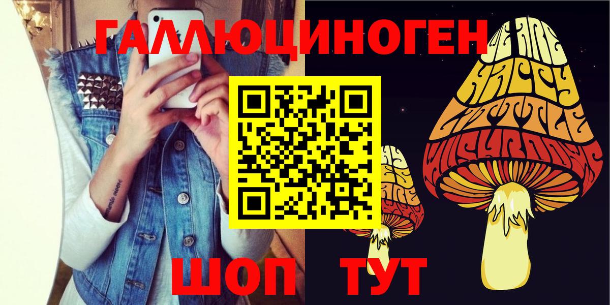 Галлюциногенные грибы мицелий Богданович